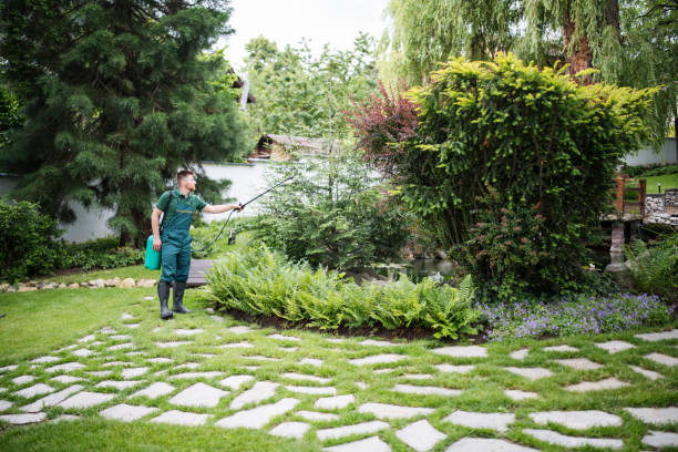 Best Pest Control Cost  in Lorena, TX